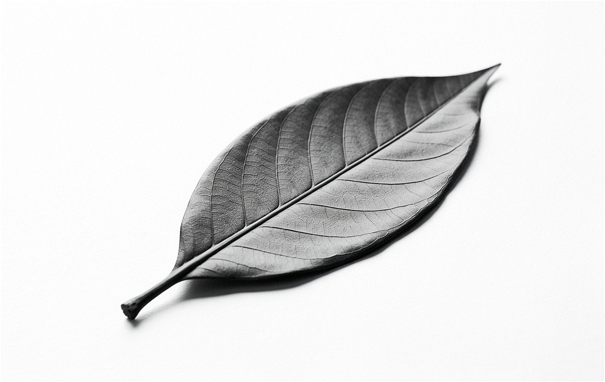 Botanical Motif
